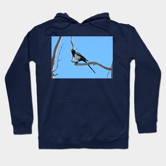 Wild birds, magpie, wildlife, A California Gem Hoodie by sandyo2ly